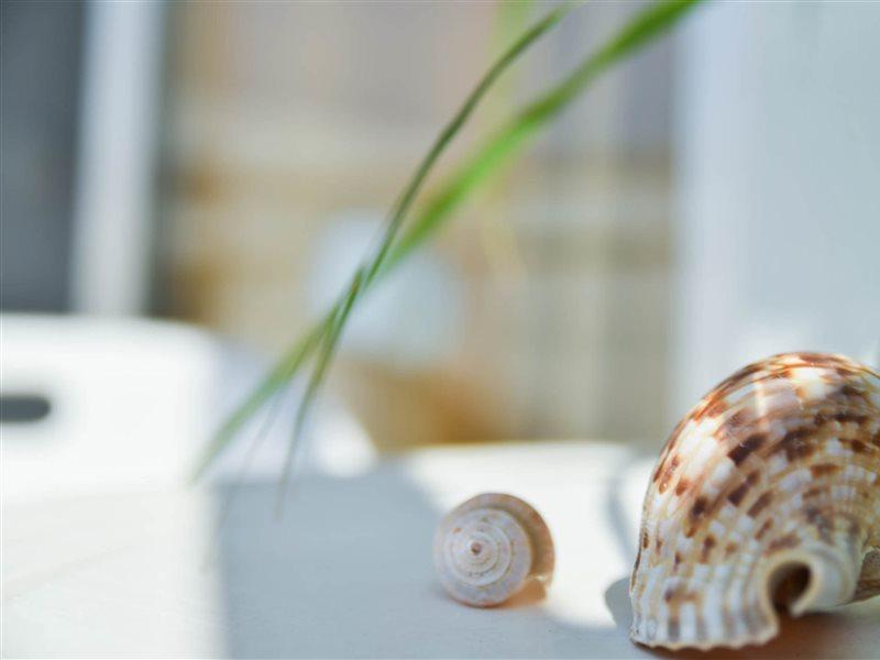 Vassilia Hotel Rhodes City Dış mekan fotoğraf
